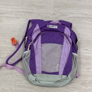 CamelBak Violet and Light Gray Women's Backpack